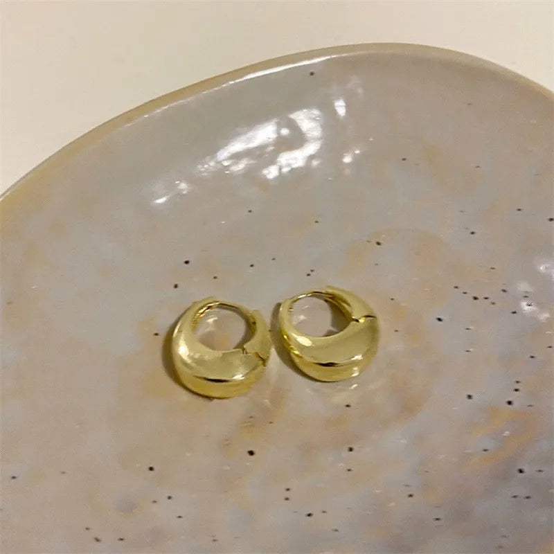 Stainless Steel Hoop Earrings – Set of 2 Pairs | Gold & Silver | Everyday Elegance